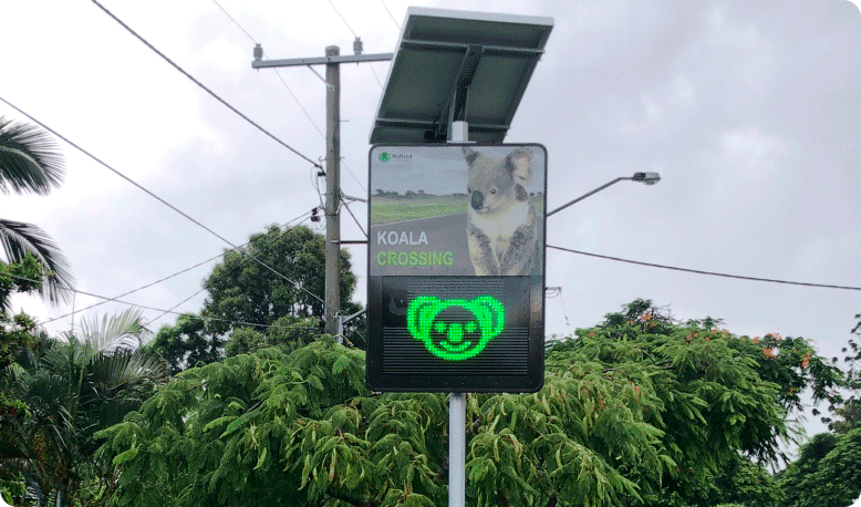 Redlands City Council Koala Crossing Warning Signs